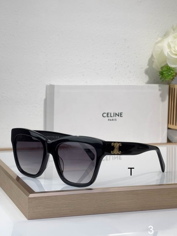 Celine Sunglasses ID:20250816-181